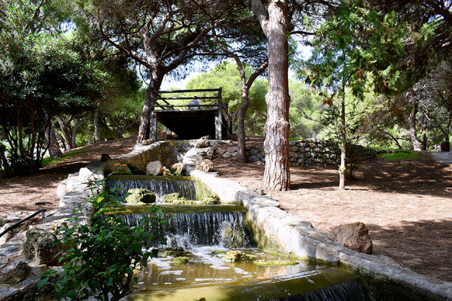 Reina Sofia Park